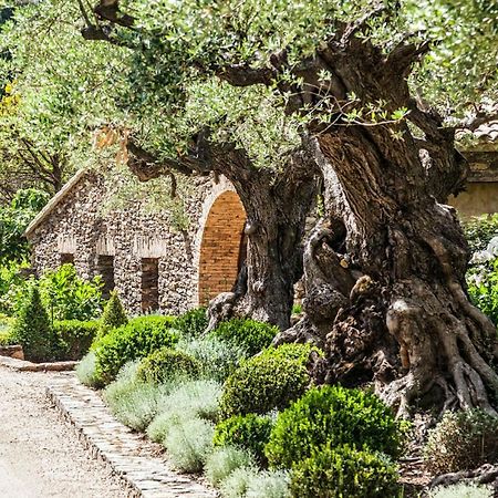 ホテル Domaine Les Mesanges ガッサン エクステリア 写真