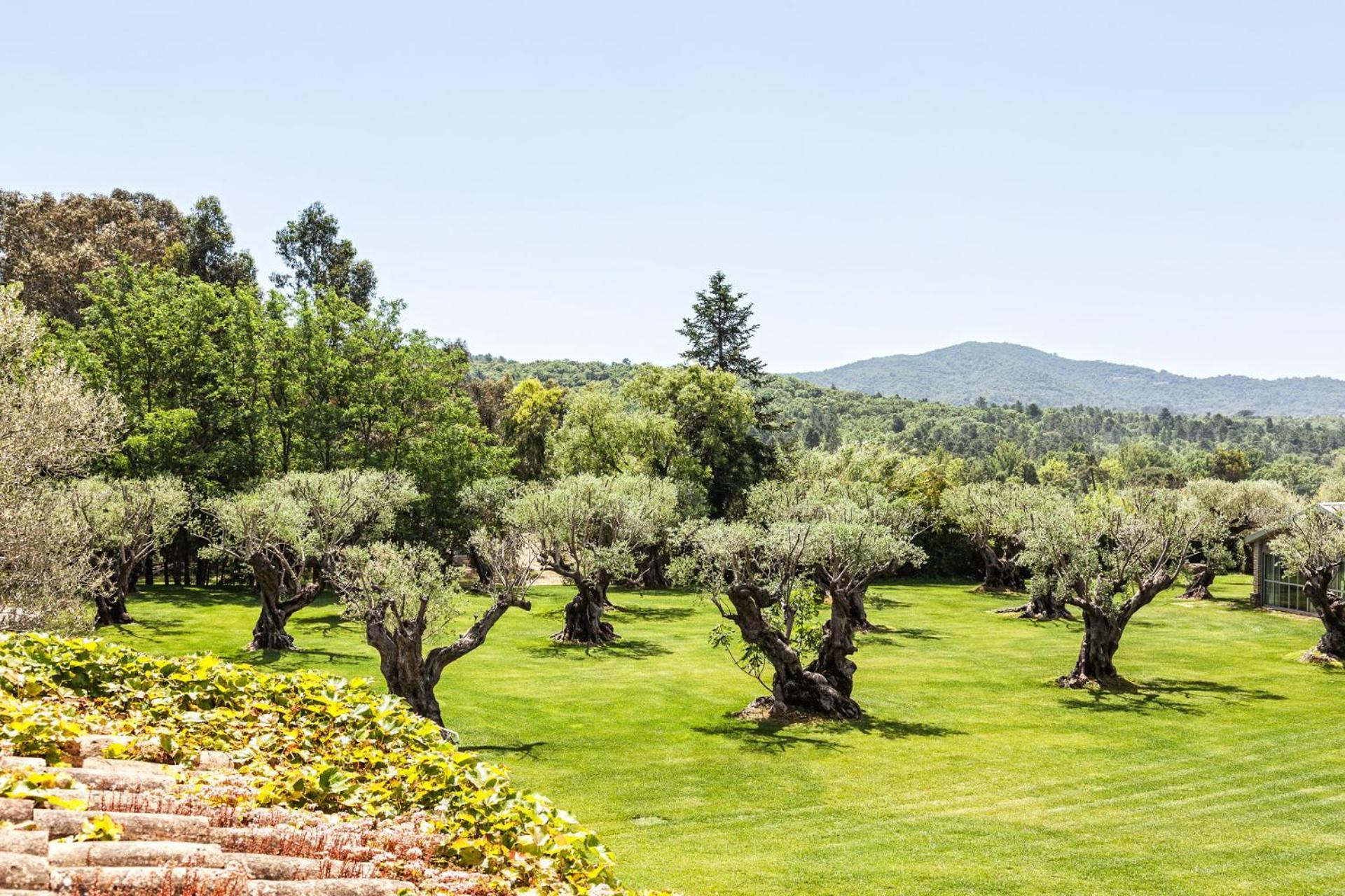 ホテル Domaine Les Mesanges ガッサン エクステリア 写真