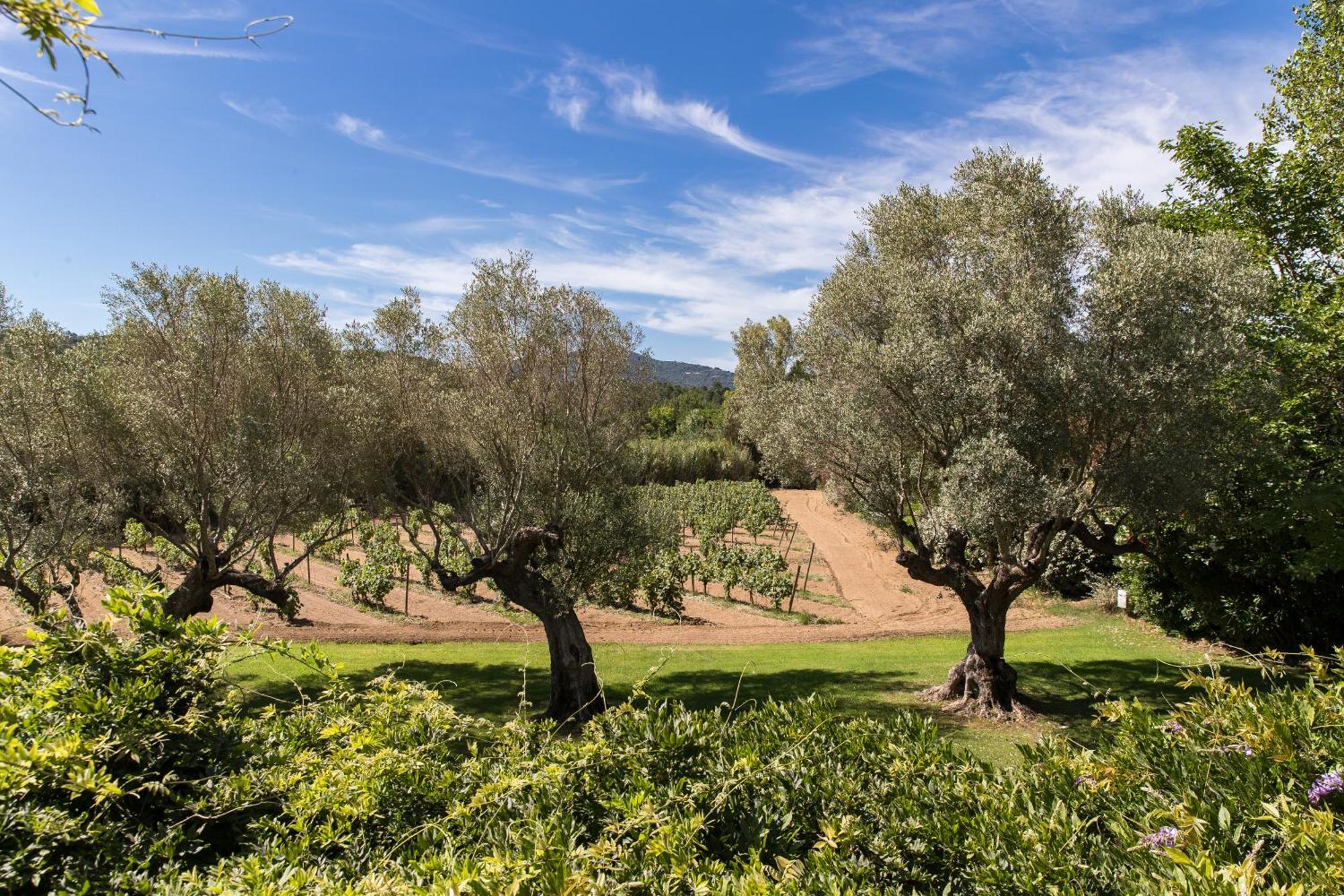 ホテル Domaine Les Mesanges ガッサン エクステリア 写真