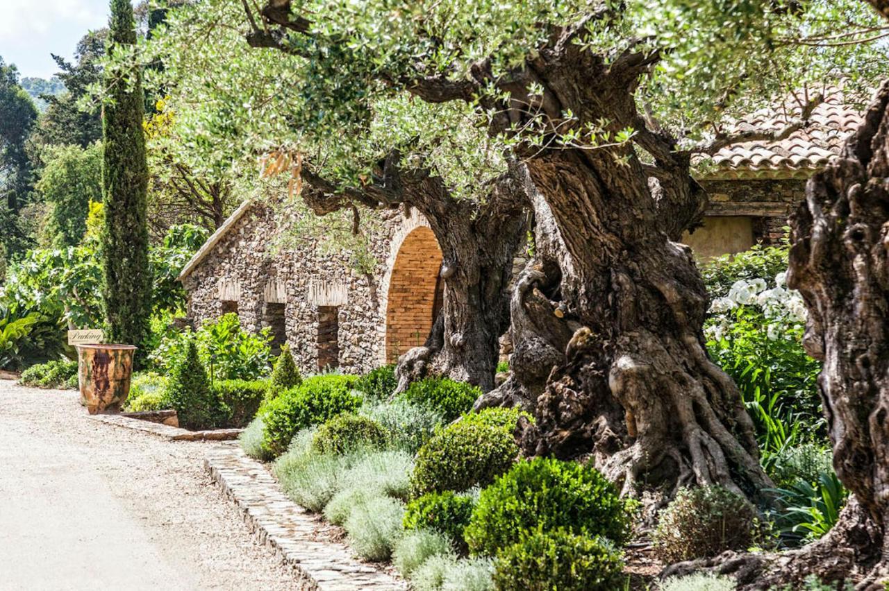 ホテル Domaine Les Mesanges ガッサン エクステリア 写真